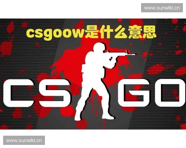 深度解析csgoow的核心玩法与发展前景及玩家生态影响 深度解析csgoow的核心玩法与发展前景及玩家生态影响
